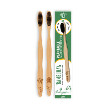 Plantable Toothbrush in Paper Packaging